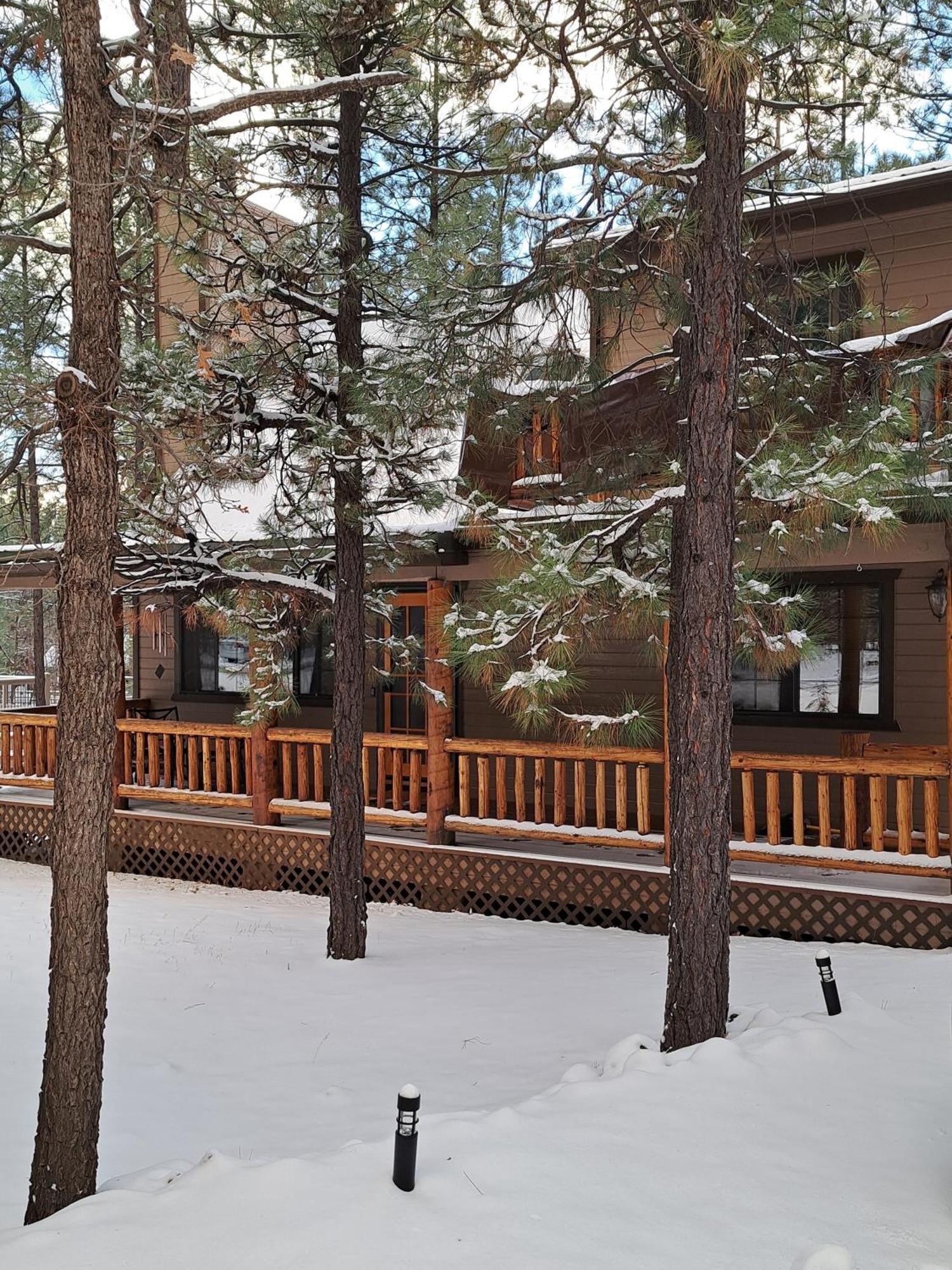 Tranquil Getaway In The Pines! W/Fire Pit & Grill! Villa Indian Pine Exterior photo